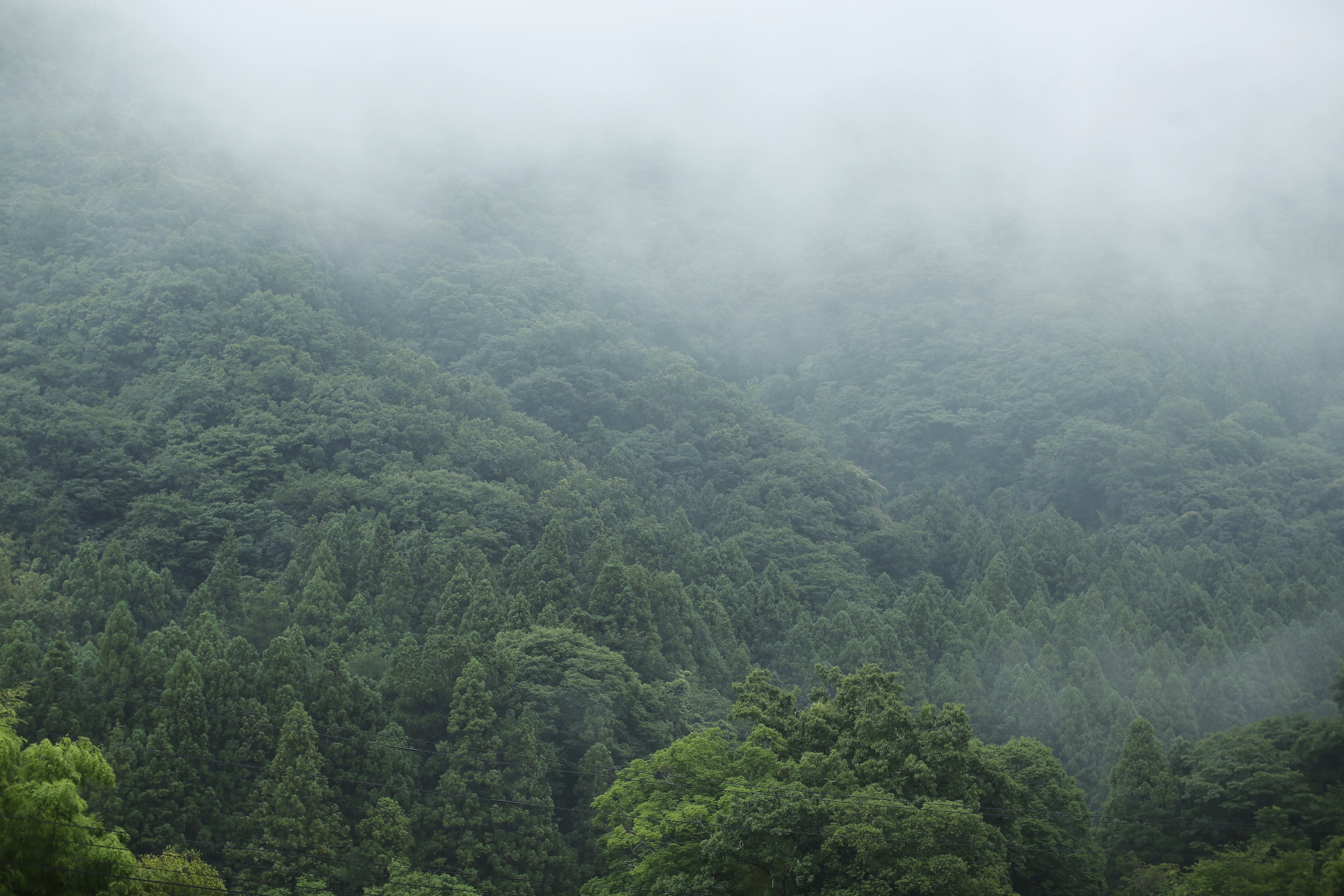 Quiet Stay — Hotel & Stay, Odawara, Japan
